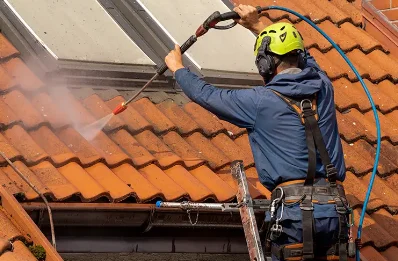 Démoussage et hydrofuge de toiture à Crépol